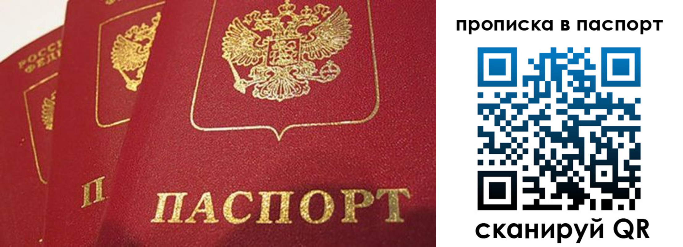 прописка гарантия в Шебекино